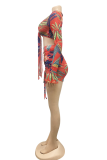 Orange Sexy Print Split Joint V Neck Long Sleeve Two Pieces