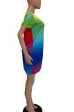 Leopard Print Casual Print Patchwork O Neck Straight Dresses