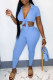 Sky Blue Fashion Casual Bandage Turndown Collar Short Sleeve Two Pieces