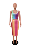Multicolor Sexy Print Patchwork U Neck Sleeveless Two Pieces
