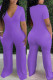 Purple Fashion Casual Solid Basic V Neck Regular Jumpsuits