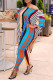 Blue Fashion Casual Striped Print Basic O Neck Half Sleeve Two Pieces