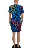 Leopard Print Casual Print Patchwork O Neck Straight Dresses