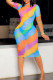 Colour Fashion Sexy Print See-through O Neck Short Sleeve Dress Dresses