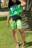 Green Fashion Casual Print Basic O Neck Short Sleeve Two Pieces