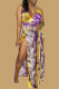 Multicolor Fashion Sexy Backless V Neck Sling Dress
