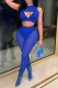 Blue Sexy Solid See-through Mesh O Neck Sleeveless Two Pieces