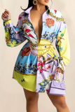 Colour Casual Print Patchwork Turndown Collar Cake Skirt Dresses
