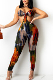 Deep Blue Sexy Print Patchwork Frenulum Backless Halter Skinny Jumpsuits