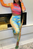 Multicolor Fashion Casual Print Basic O Neck Long Sleeve Two Pieces