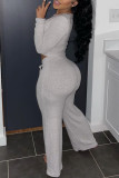 Grey Fashion Casual Solid Basic V Neck Long Sleeve Two Pieces