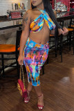 Multicolor Fashion Sexy Print Backless Halter Sleeveless Two Pieces