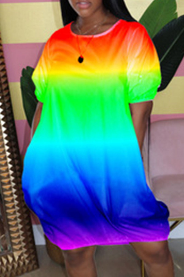 Rainbow Color Casual Print Patchwork O Neck Straight Dresses