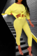 Yellow Casual Solid Patchwork O Neck Long Sleeve Two Pieces