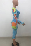 Multicolor Fashion Casual Print Basic O Neck Long Sleeve Dresses