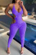 Purple Sexy Solid Hollowed Out Patchwork Frenulum Backless Halter Skinny Jumpsuits