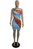 Multicolor Sexy Casual Print Basic O Neck Sleeveless Dress