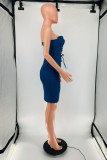 Blue Fashion Sexy Solid Frenulum Backless Strapless Sleeveless Dress