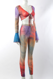 Multicolor Sexy Print Patchwork V Neck Long Sleeve Two Pieces