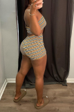 Brown Sexy Striped Patchwork Halter Sleeveless Two Pieces