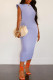 Light Purple Fashion Casual Solid Basic O Neck Sleeveless Dress Dresses