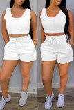 Light Blue Casual Solid Basic U Neck Sleeveless Two Pieces