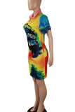 Colour Street Print Patchwork Zipper Collar Straight Dresses