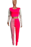 Pink Sexy Solid Patchwork O Neck Long Sleeve Two Pieces