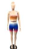 Purple Sexy Gradual Change Patchwork Spaghetti Strap Sleeveless Two Pieces