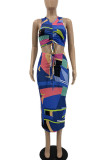 Blue Sexy Print Patchwork Draw String V Neck Sleeveless Two Pieces