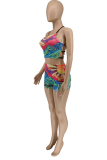 Colour Sexy Print Hollowed Out Patchwork Swimwears