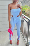 Pink Fashion Sexy Solid Backless Asymmetrical Strapless Sleeveless Two Pieces