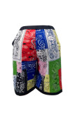 Multicolor Fashion Casual Print Basic Regular High Waist Shorts
