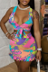 Multicolor Sexy Print Patchwork V Neck Sleeveless Two Pieces