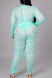 Tangerine Sexy Solid Split Joint See-through O Neck Plus Size Two Pieces