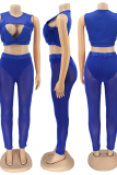 Blue Sexy Solid See-through Mesh O Neck Sleeveless Two Pieces