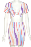 Colour Sexy Print Patchwork V Neck Short Sleeve Two Pieces