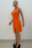 Black Fashion Sexy Solid Backless Half A Turtleneck Sleeveless Dress