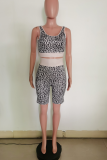 Rose Red Sexy Leopard Patchwork U Neck Sleeveless Two Pieces