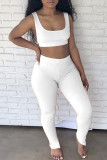 Red Casual Sportswear Solid Vests Pants U Neck Sleeveless Two Pieces