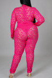Rose Red Sexy Solid Split Joint See-through O Neck Plus Size Two Pieces