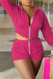Deep Blue Fashion Casual Solid Hooded Collar Long Sleeve Two Pieces