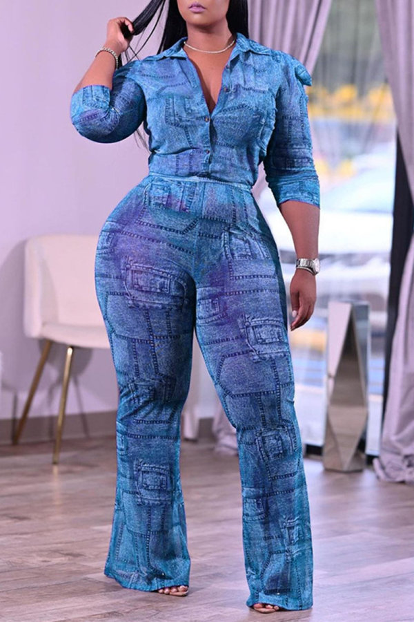 Light Blue Fashion Casual Print Basic Turndown Collar Long Sleeve Two Pieces