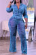 Light Blue Fashion Casual Print Basic Turndown Collar Long Sleeve Two Pieces