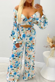 Blue Sexy Print Patchwork V Neck Long Sleeve Two Pieces