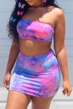 Colour Sexy Print Patchwork Strapless Sleeveless Two Pieces