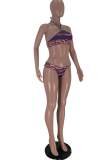 Gradient Color Sexy Print Hollowed Out Patchwork Swimwears