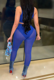 Blue Sexy Solid See-through Mesh O Neck Sleeveless Two Pieces