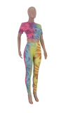 Yellow Sexy Print Patchwork O Neck Short Sleeve Two Pieces