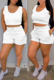 Light Blue Casual Solid Basic U Neck Sleeveless Two Pieces